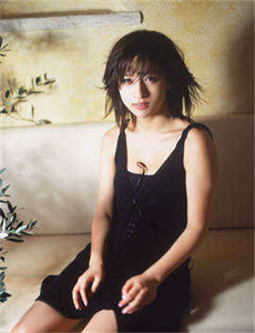 公安局长3